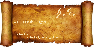 Jelinek Igor névjegykártya